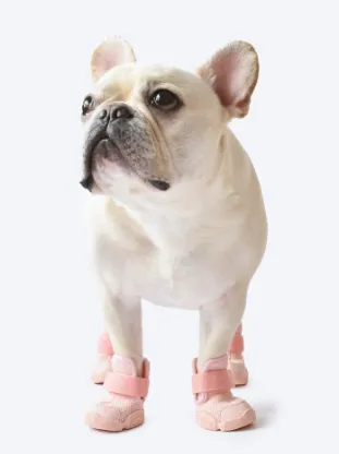 Dog Sneakers (Blush)