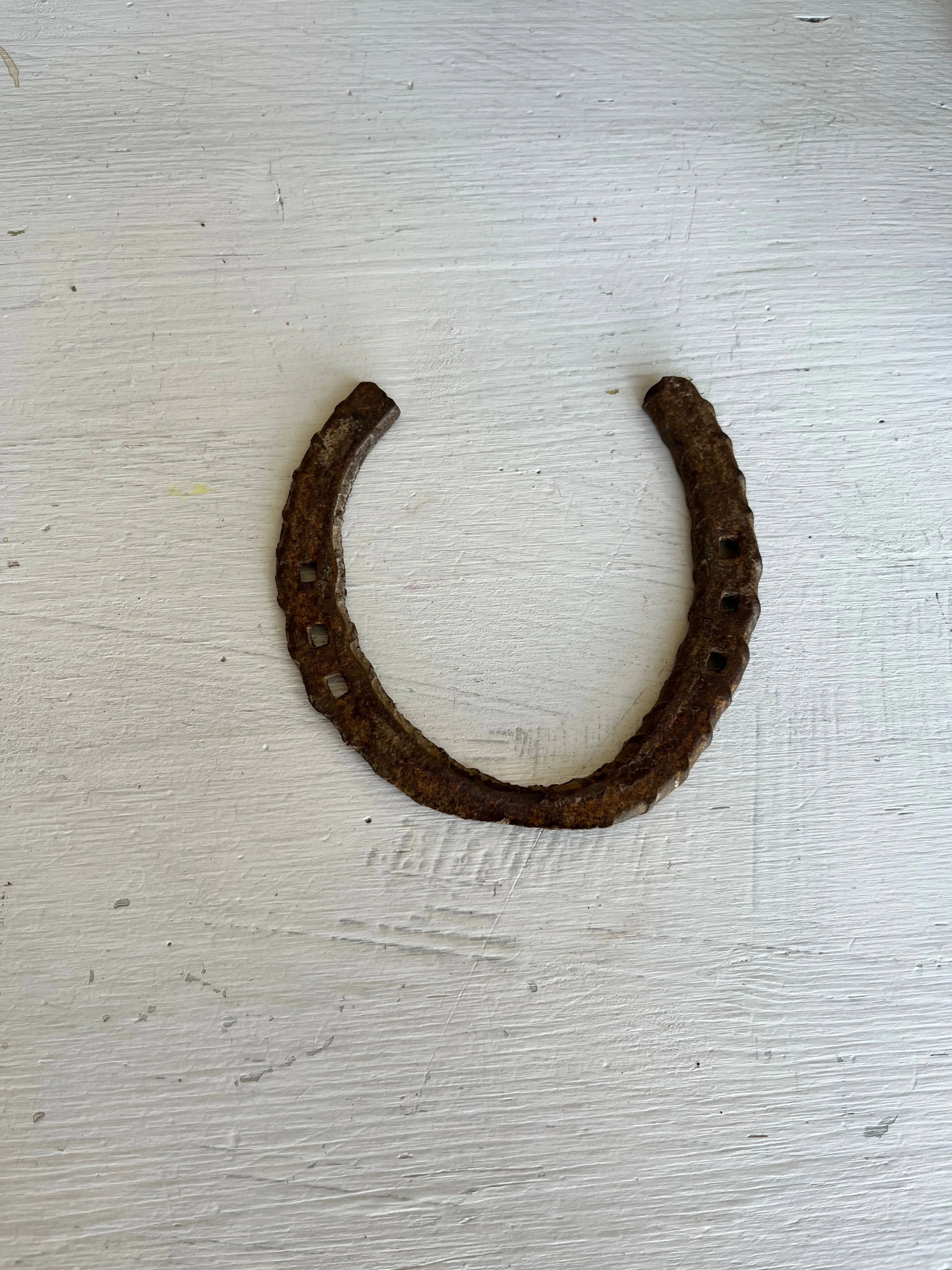 Genuine Horse Shoe