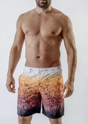 Men Board Shorts 1710p4